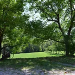 Domaine De Jouani - Pergola