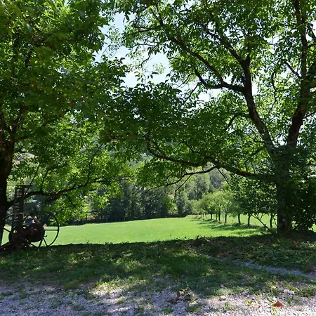 Domaine De Jouani - Pergola Villecomtal