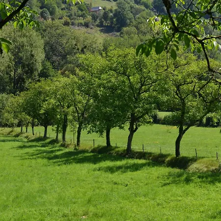 Σπίτι διακοπών Domaine De Jouani - Pergola Villecomtal