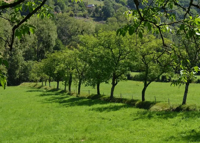Tatil Evi Domaine De Jouani - Pergola *