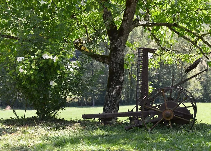 Tatil Evi Domaine De Jouani - Pergola