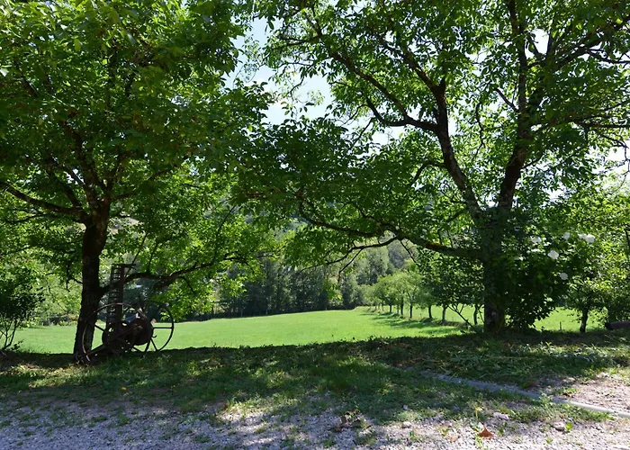 Domaine De Jouani - Pergola